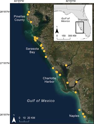 Staying Alive: Long-Term Success of Bottlenose Dolphin Interventions in Southwest Florida